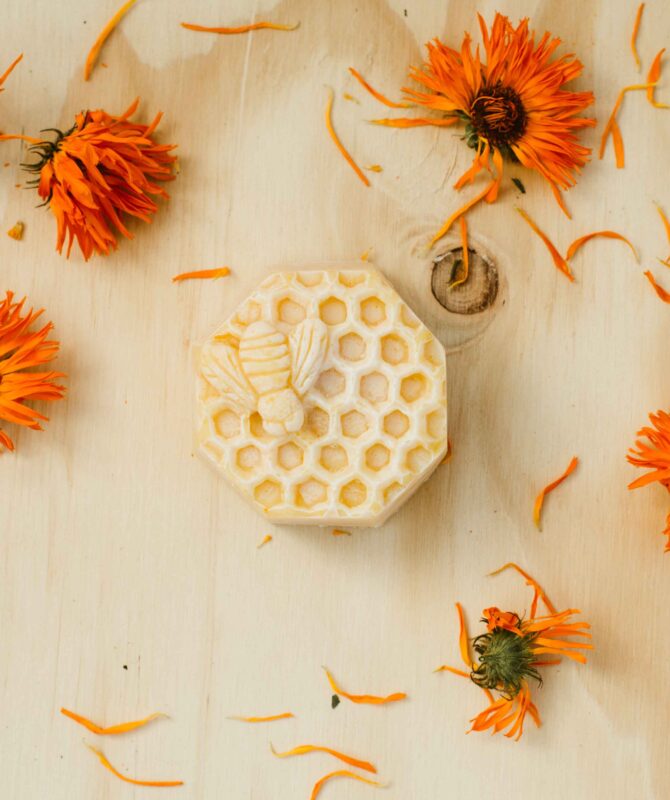 BUSY BEES SOAP