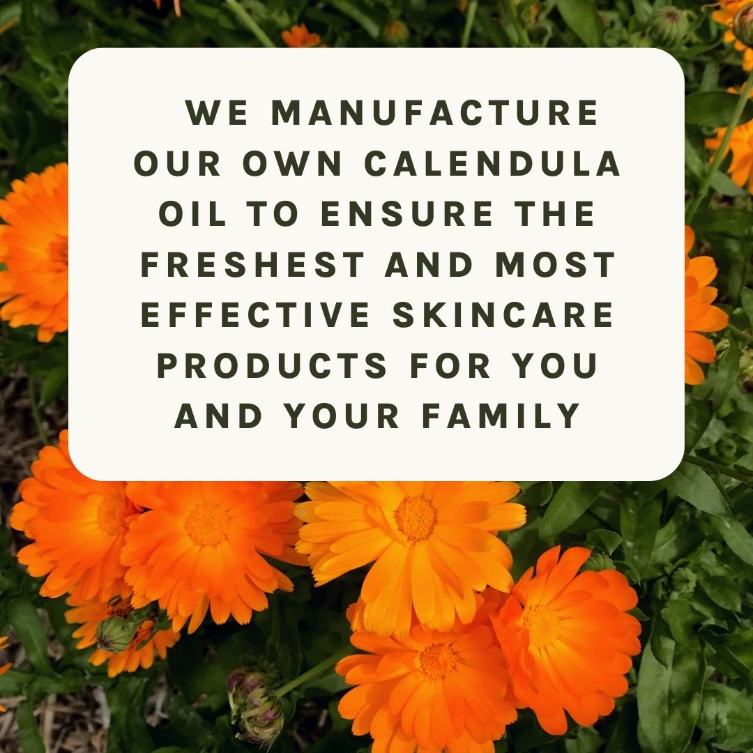 Calendula Balm - Image 3