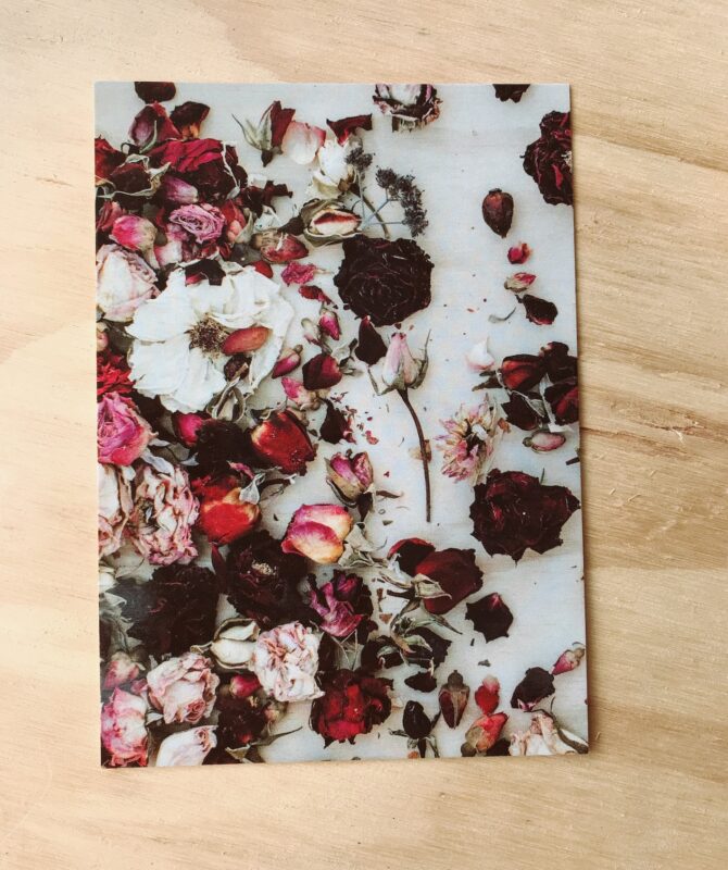 DRIED ROSES POSTCARD BY PLANT & SHARE