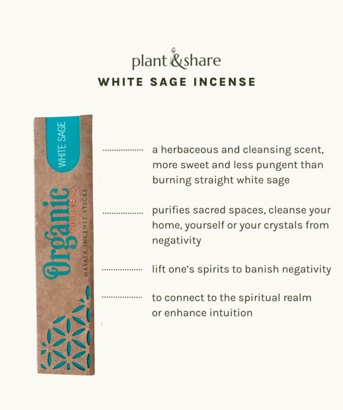 White Sage incense organic