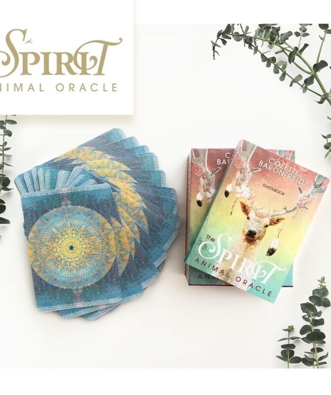 Spirit Animal Oracle Cards Colette Baron-Reid 1