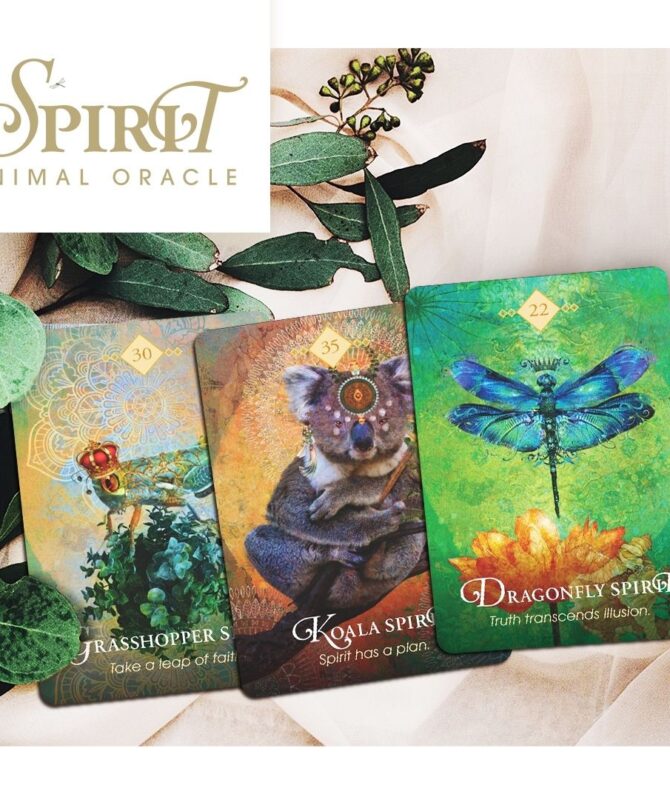 spirit animal oracle cards colette baron-Reid cards