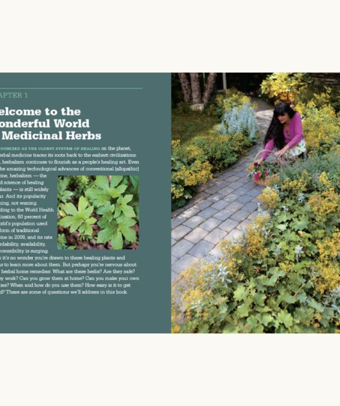 Rosemary Gladstar Medicinal Herbs 1